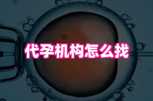 权威助孕网 1