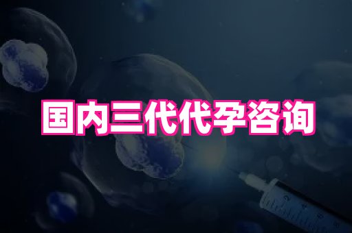 权威助孕网 2