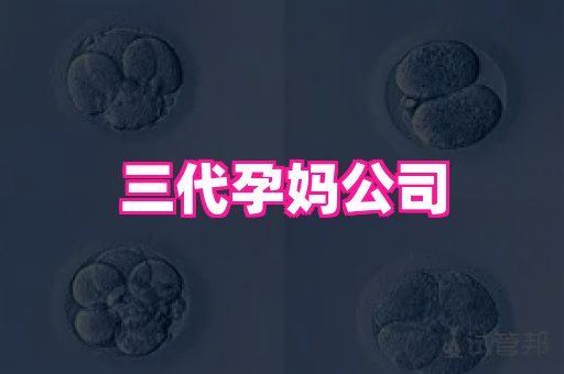 权威助孕网 3